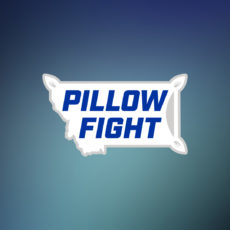 Pillowfight